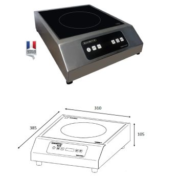 Plaque induction pro 3000